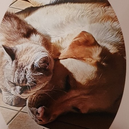 Jaspa und Mini
