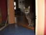 DSCF1276