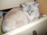 DSCF1422