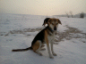 Foto0531