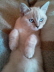Foto0648