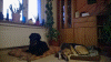 WP_20131216_008