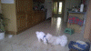 WP_20140501_003