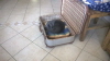 WP_20140504_005