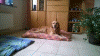 WP_20140921_001